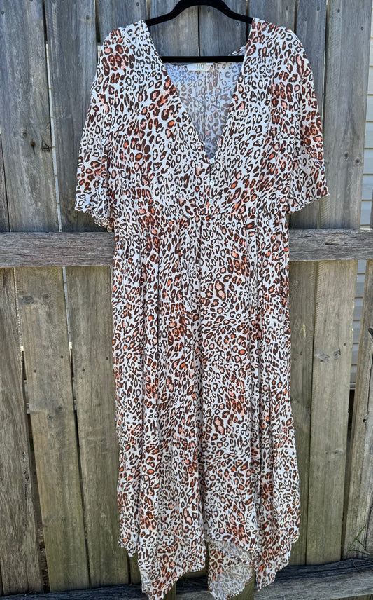 Ladies dress