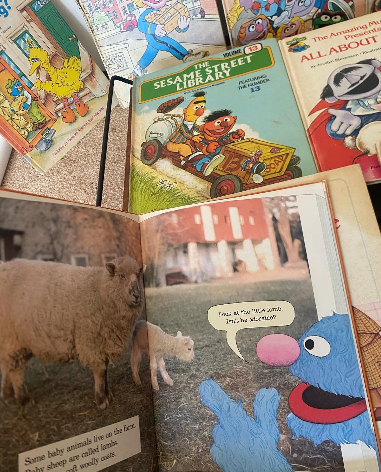 Vintage 1980 Sesame Street books